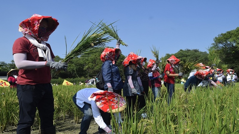六堆300年紀念　文化薪傅有人　客家精神接棒