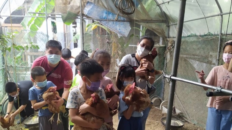 高雄食農教育響應永續食農　深水國小「友」雞傳遞愛與關懷