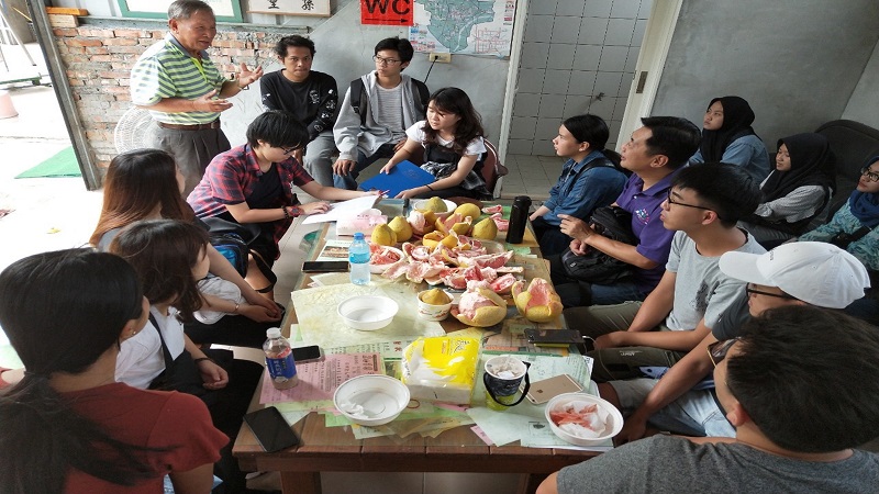 台灣首府大學結合「麻豆學」理念　推動柚樹廢棄枝條再生計畫