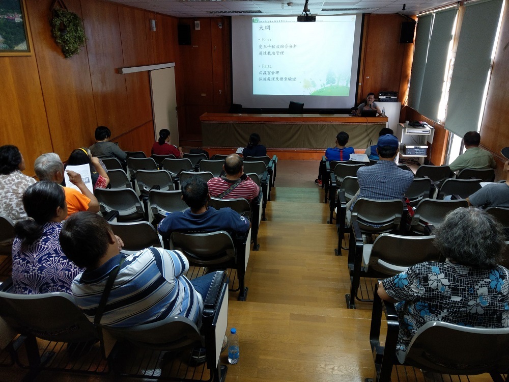 高雄桃源豪雨釀愛玉災損　現金救助即刻申辦