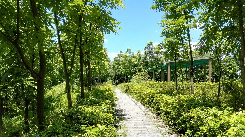 台電樹雕護樹引水造林　鼓勵少用紙多點森呼吸