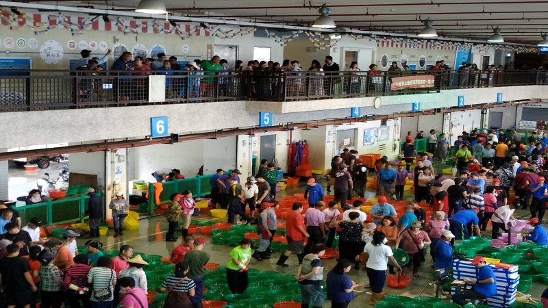 加工處舉辦蚵仔寮漁村文化體驗活動