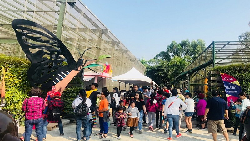 全國最大網室蝴蝶園　9/1起免費入園