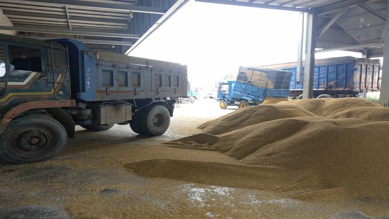 高市農業局籲請農民　注意強降雨加強防範