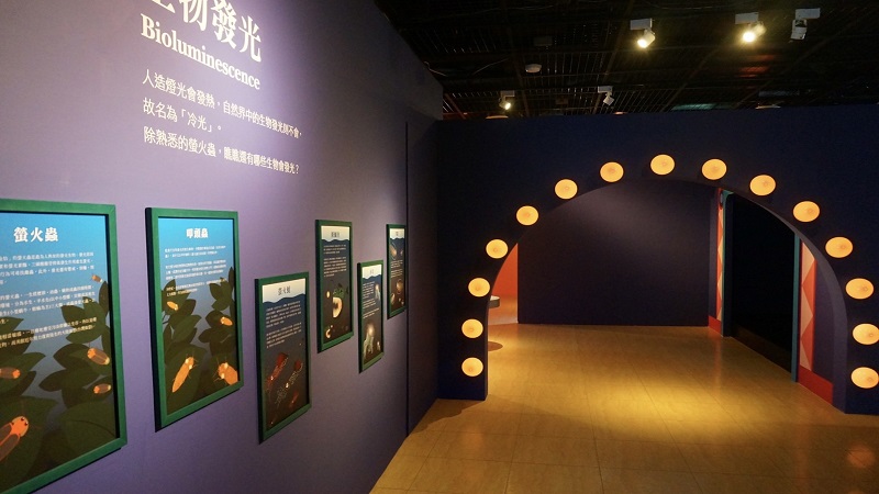 高雄兒童美術館新展《黑嚕嚕˙光焱焱》　讓您凝視光的無所不在
