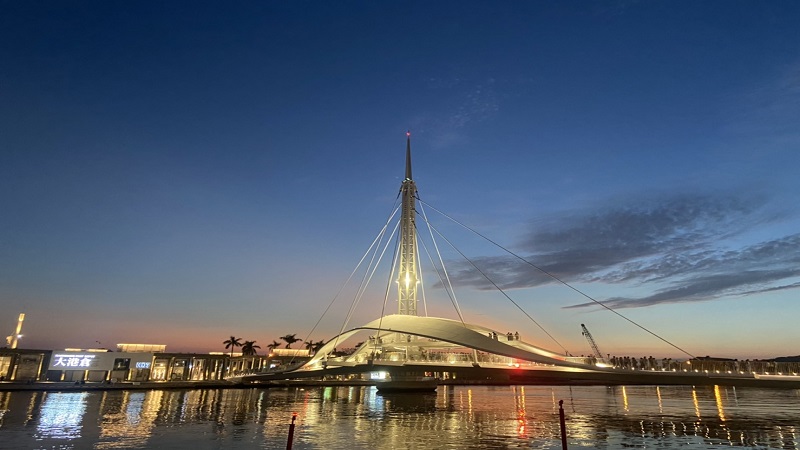 亞灣魅力無法擋！海上看大港橋旋轉 首艘遊戲聯名遊港輪同步亮相