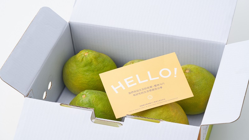 MUJI無印良品攜手雲林斗六農家　時令文旦全台推薦上市