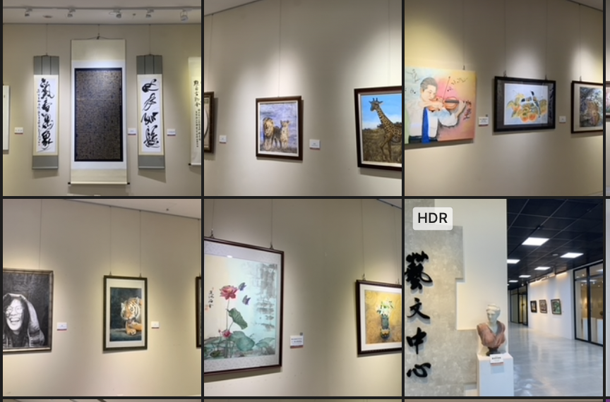 奇藝視界～屏東大學視覺藝術系碩士班聯展預告短片