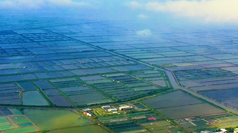 台鹽啟動「漁電共生」計畫　打造高雄永安智慧綠能城　