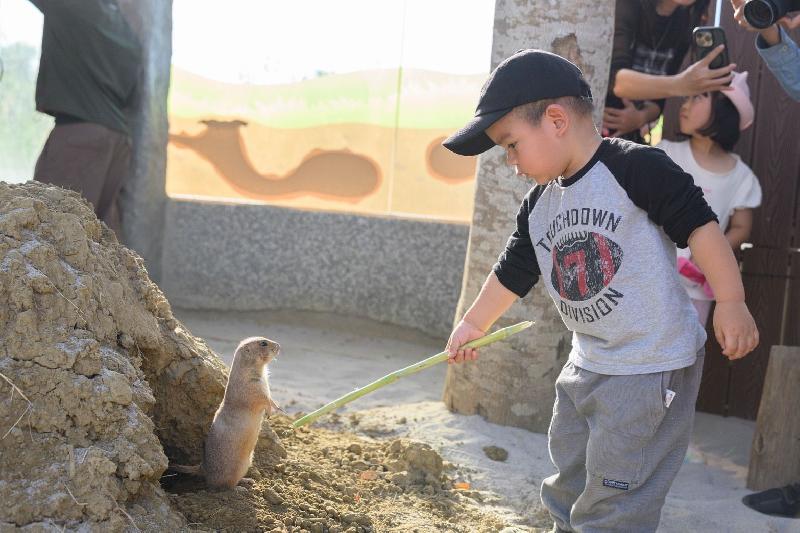 野森動物學校正式登場｜高雄內門東高新地標 115年1月試營運