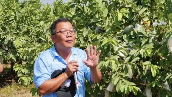 【 挽菓體驗日 】潮州鎮農會