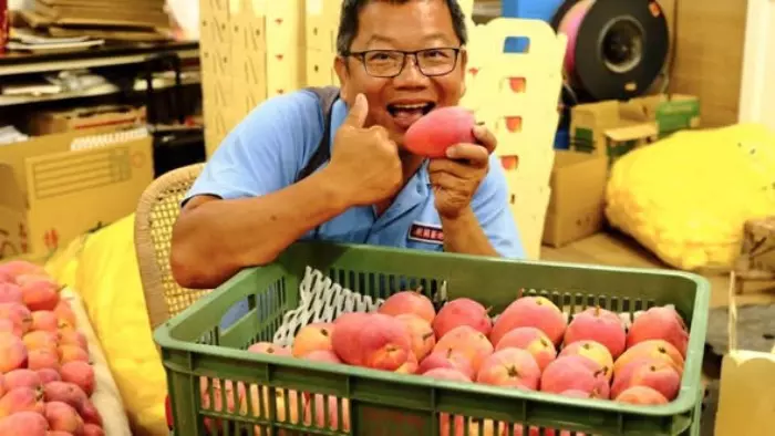 蜜雪芒果第二波釋出提醒