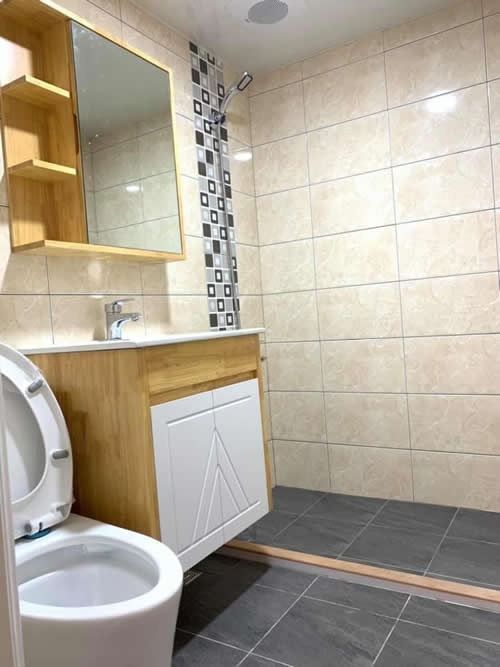 高級套房-屏東浴室裝修-馬桶安裝-乾溼分離